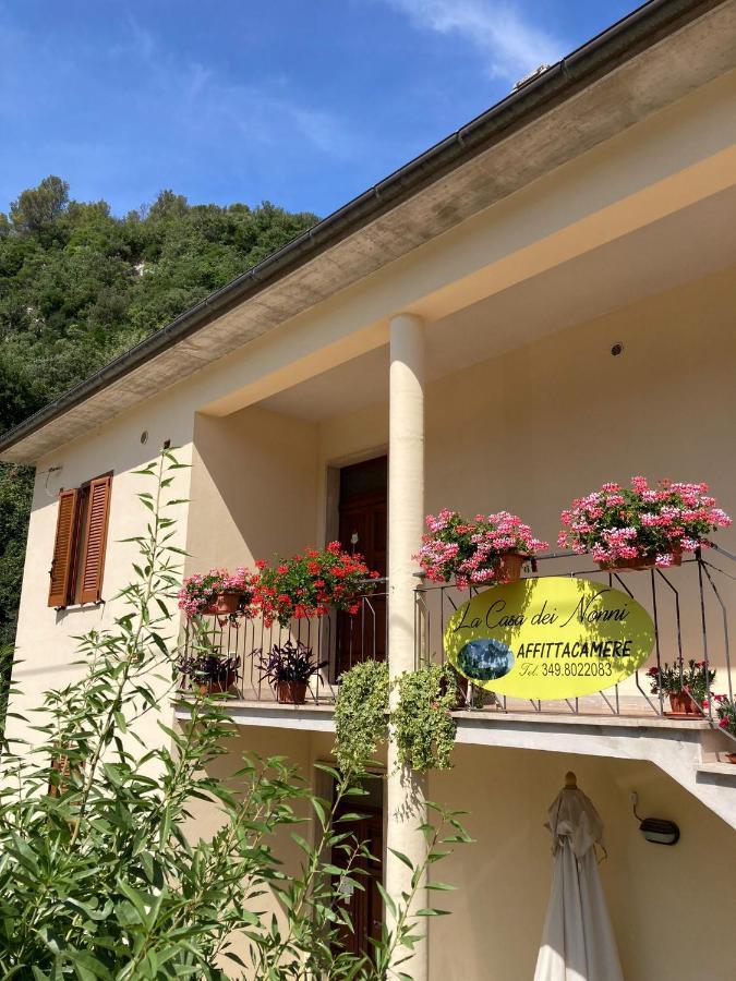 La Casa Dei Nonni Ξενοδοχείο Torre Orsina Εξωτερικό φωτογραφία